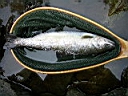 2007-05-10 028.JPG